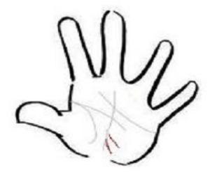 モテ線がある手相の人の恋愛